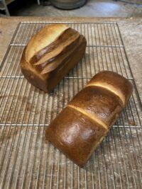 Brioche d’Epeautre au levain – 400g – mardi